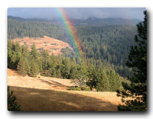 Rainbow over meadow in Mendocino Mountains of CA