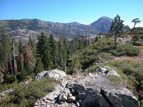 Trees and rocks of Sierra Nevada mountains