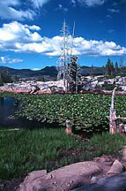 Lily Pond of the Rubicon Trail, Sierra Nevada, CA