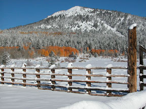 Fall colors with snow on fence and in trees