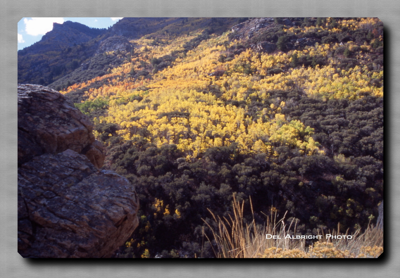 Lamoille Canyon, Fall Colors, Elko, Nevada area