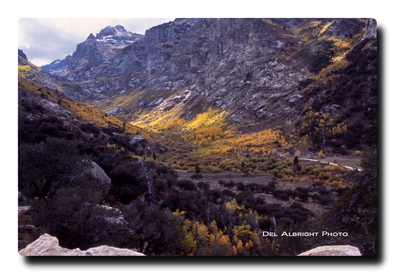 Lamoille Canyon, Fall Colors, Elko, Nevada area