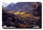 Lamoille Canyon, Elko, NV, Fall Colors