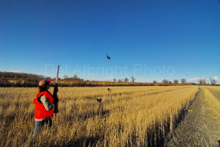 Stacie Albright shoots pheasant