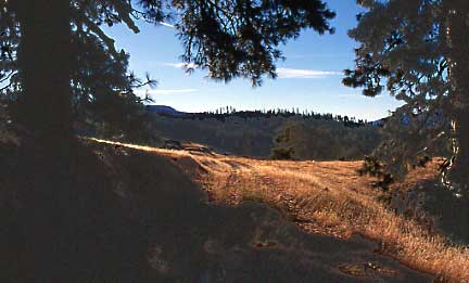Faint trail in mountain meadow, Mendocino Mountains, CA