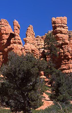 Sandstone rock formations of Utah