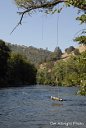 Moke River swing hanging in tree