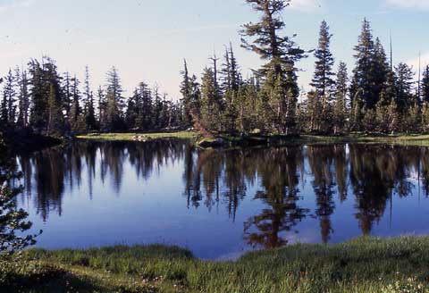 Lake reflecting trees in high Sierra Nevada Mountains, CA