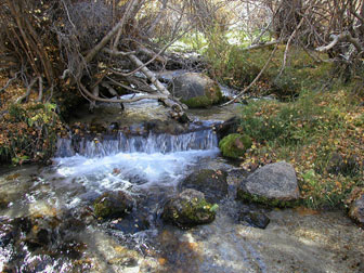 Waterfall in Sierra Nevada