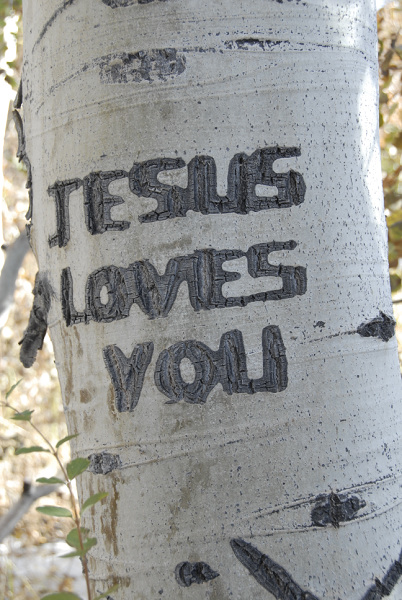 Aspen tree carving of Jesus Loves You