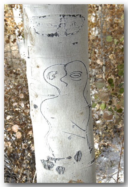 Aspen Tree Carving of figuring of person