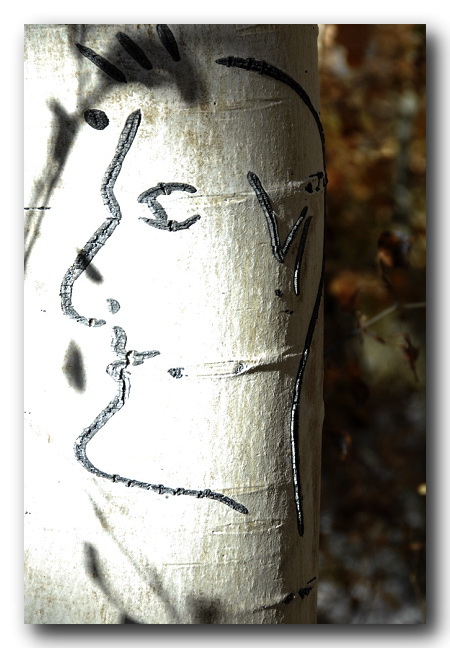 Aspen Tree Carving of person's head