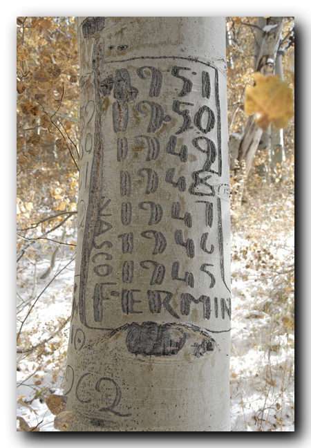 Aspen Tree Carving of 1940's and 1950's