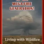 Wildfire Book by Del Albright