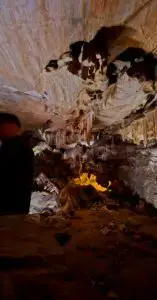 Stalactites hanging from ceiling in cave.