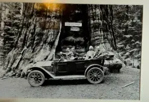 Vintage car in front of General Sherman tree
