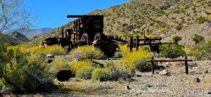 Historical mining ruins with desert wildflowers